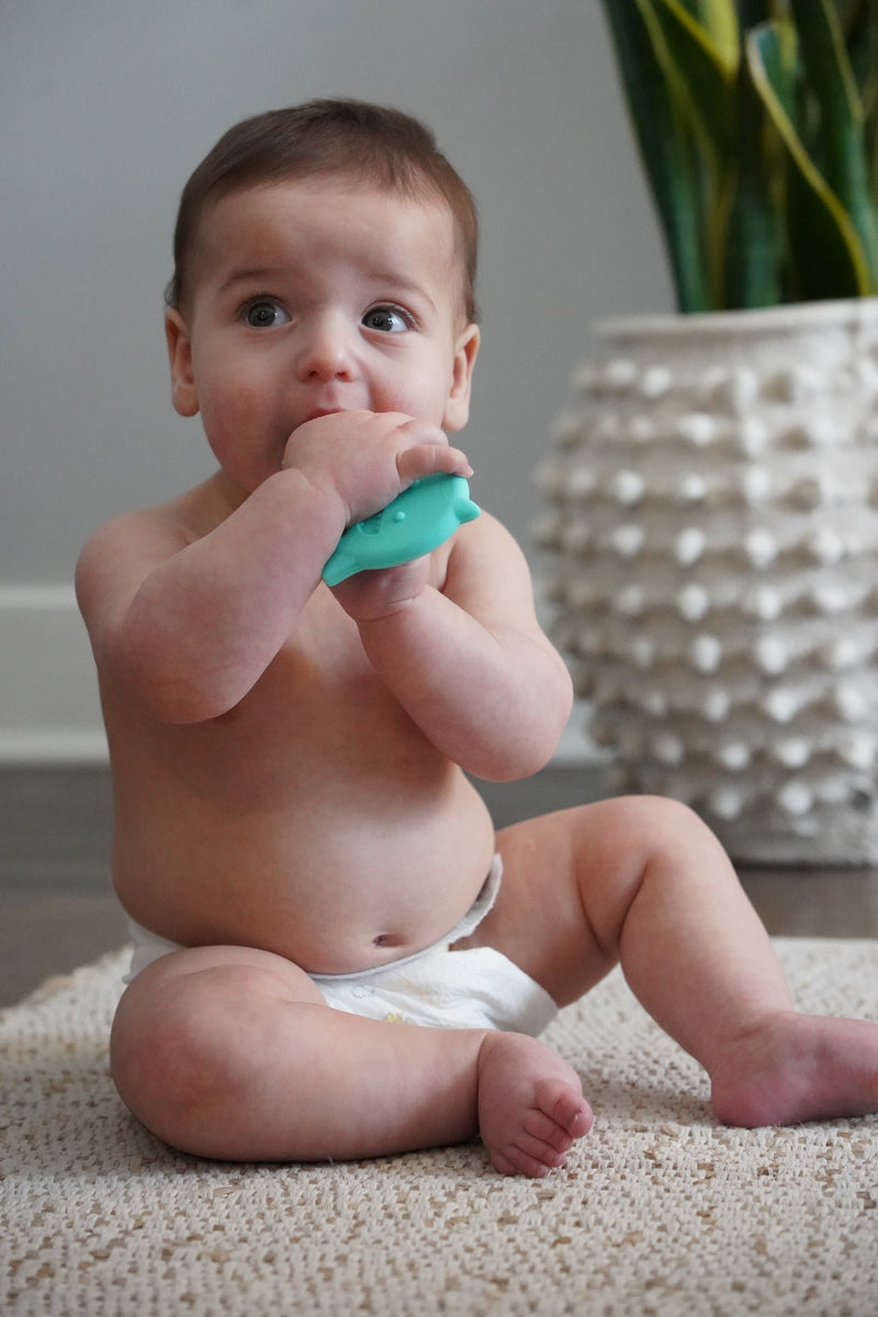 SILICONE TEETHER - DINO , SHARK