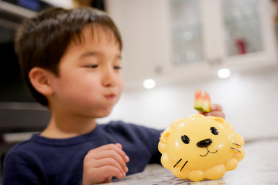 LION SNACK CONTAINER