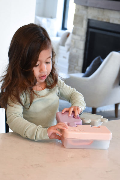 PUZZLE CONTAINER - PINK,PURPLE & GREY