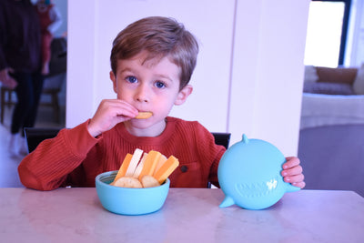 SILICONE BOWL WITH LID - SHARK