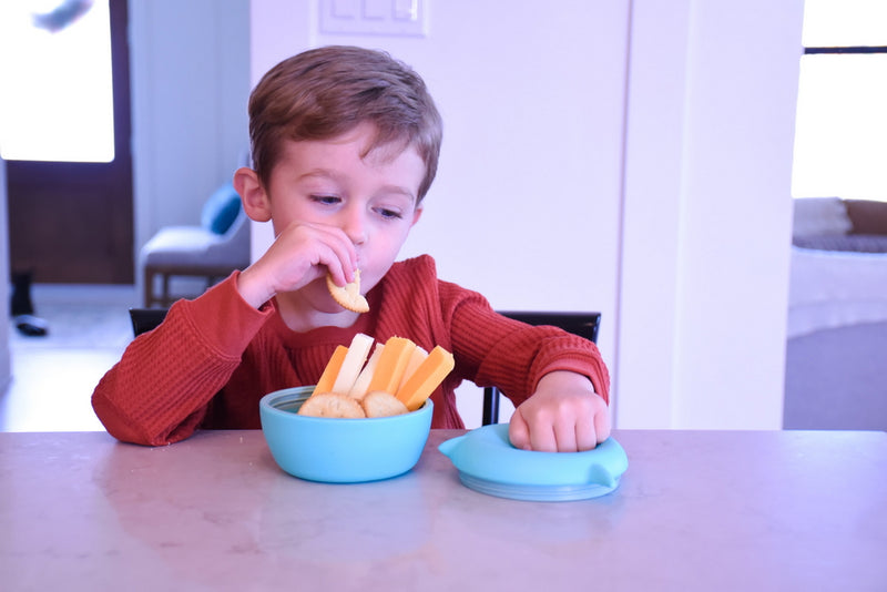 SILICONE BOWL WITH LID - SHARK