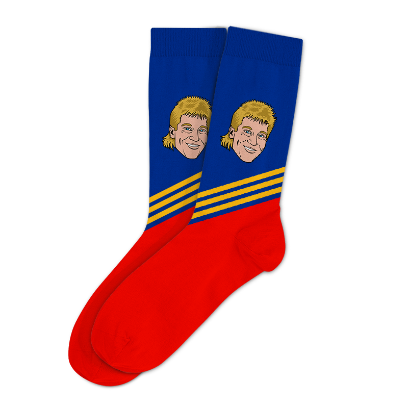 SOCKS-MOCK