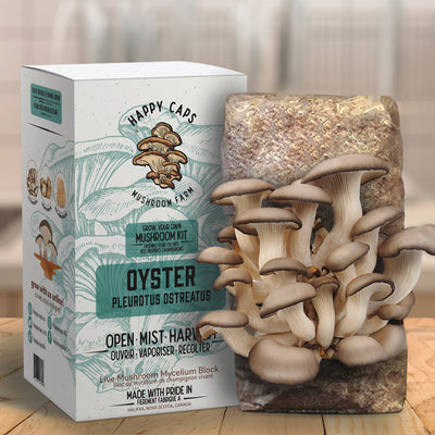 OYSTER AT HOME GROW MUSHROOM KIT