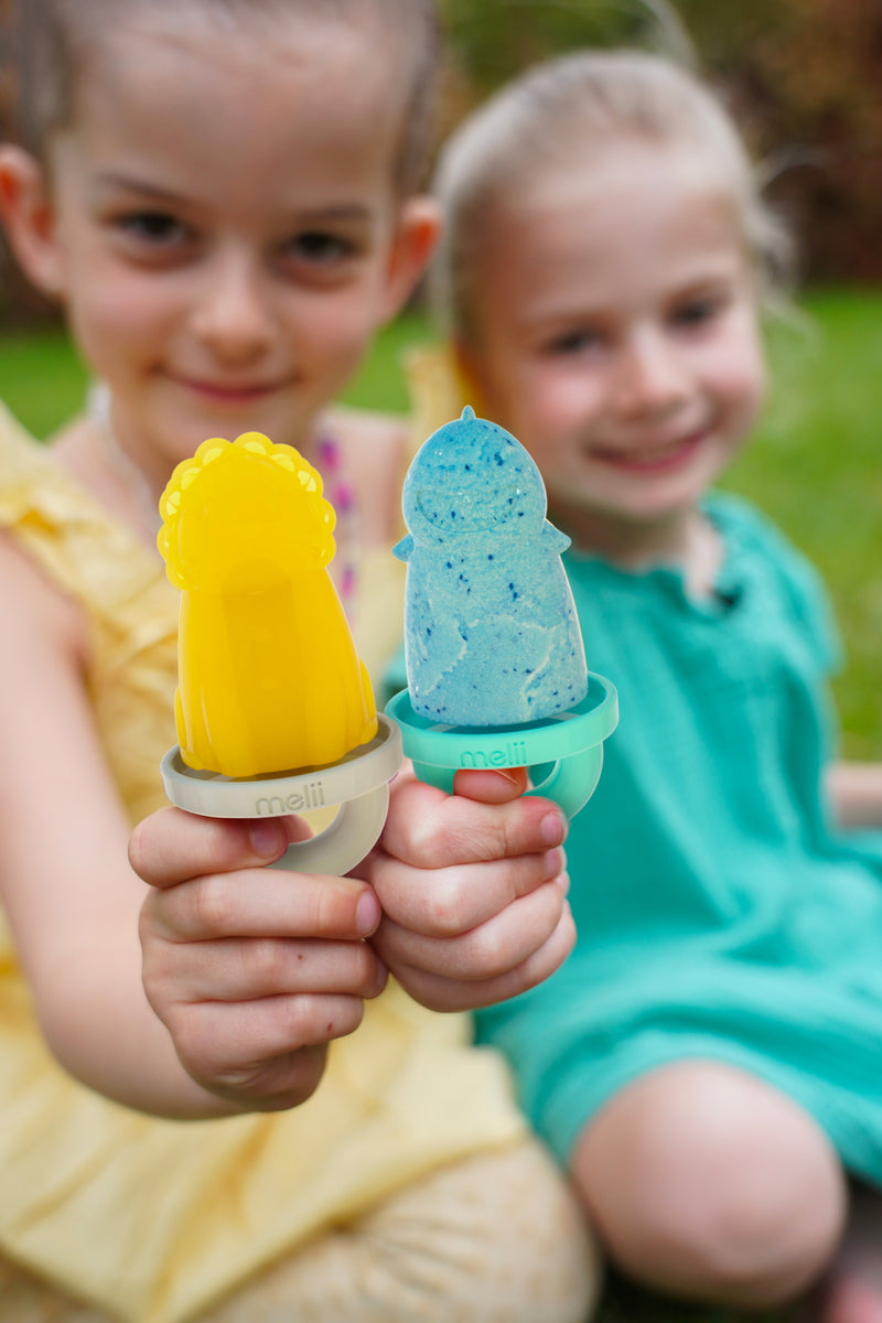 6 PIECE ANIMAL ICE POPS WITH TRAY