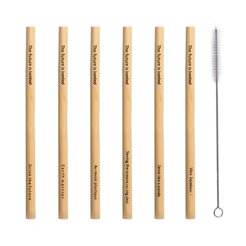 BAMBOO STRAW ( 6PK )